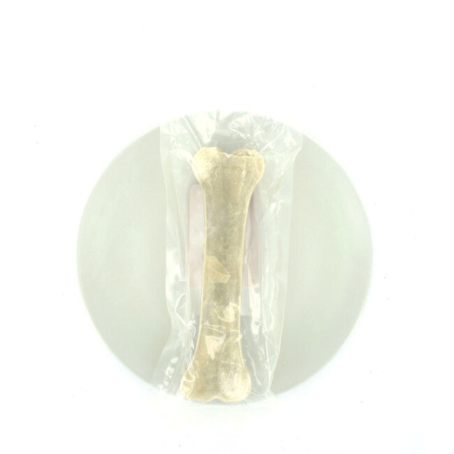 Bone 8.5 inch (21cm) 240g 1st