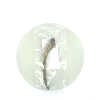 mypetworld Deer antlers S (50-75g) 1st