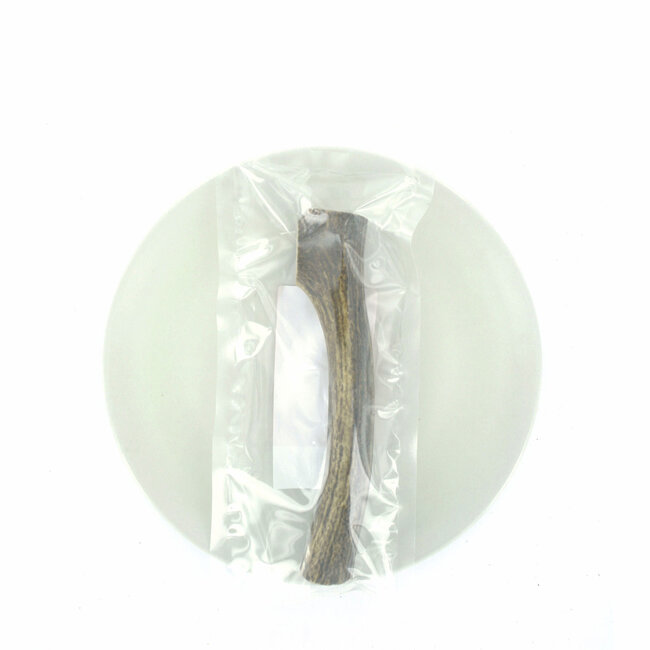 Deer antlers L (151-225g) 1st