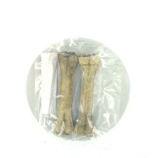 mypetworld Pensbot (21cm) 2st