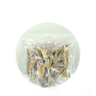 mypetworld Gedroogde poon 100g