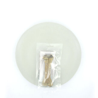 mypetworld Bot van hertenhuid 12cm