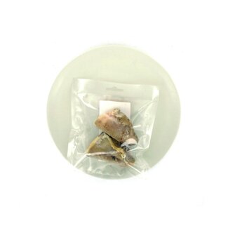 mypetworld Hoefjes gevuld pate 2st