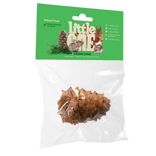 Cedar Cone, 1 pc.