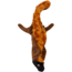 FLATTIES Squirrel-S 20cm