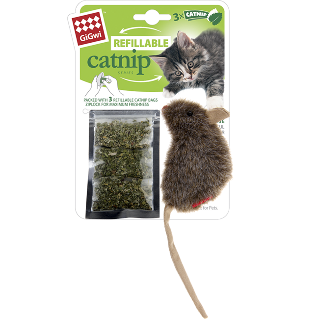 Muis