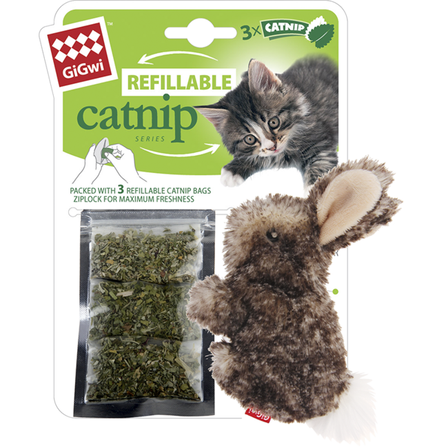 Rabbit