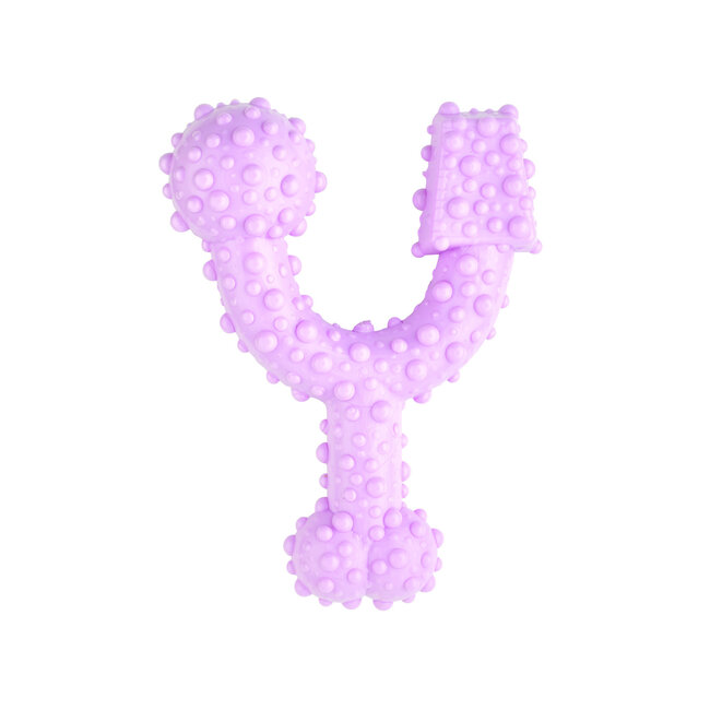 Tasty Bone Trio Bone Raspberry & Mint Toy