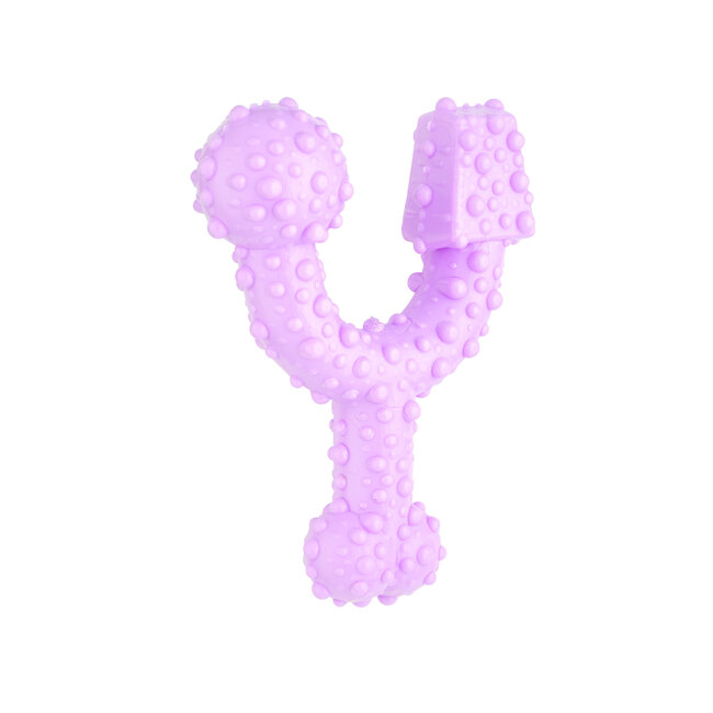 Dental Bone Trio Bone Raspberry & Mint Toy