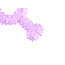 Dental Bone Trio Bone Raspberry & Mint Toy