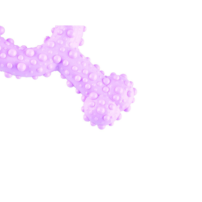 Tasty Bone Trio Bone Raspberry & Mint Toy