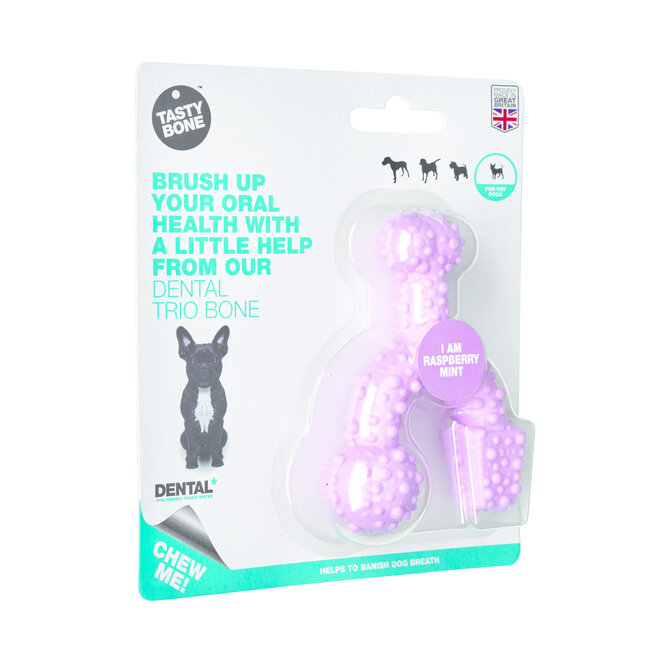 Dental Bone Trio Bone Raspberry & Mint Toy