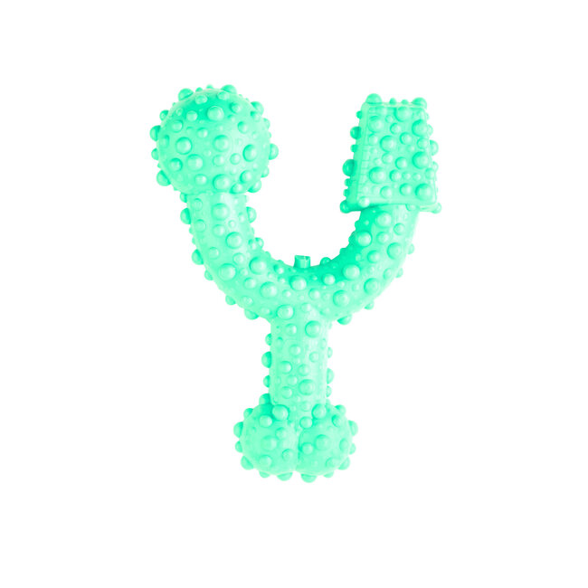 Dental Trio Bone Peppermint Toy