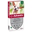 for dogs