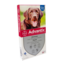 for dogs