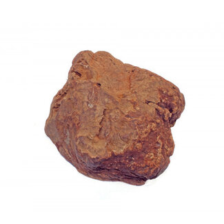mypetworld Olijfboom Kauwwortel 150-300gr