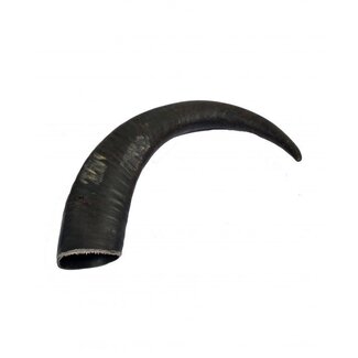 mypetworld Buffalo horn M