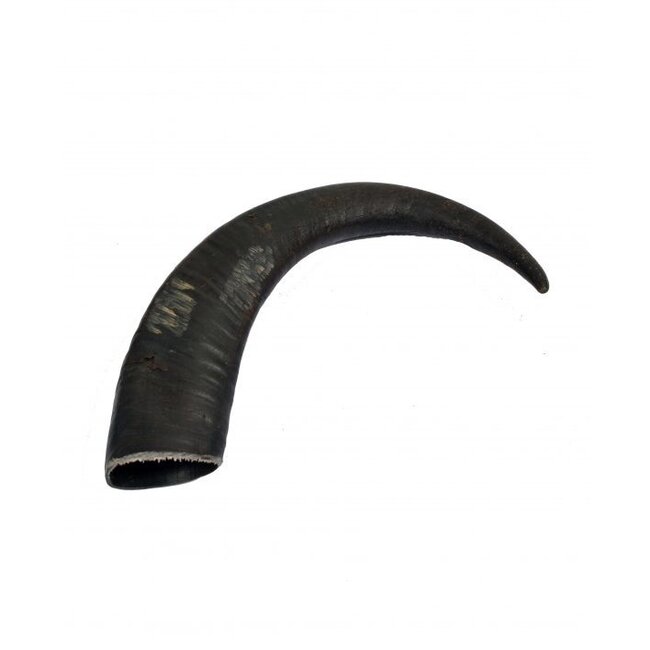 Buffalo horn M