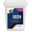 SoZen