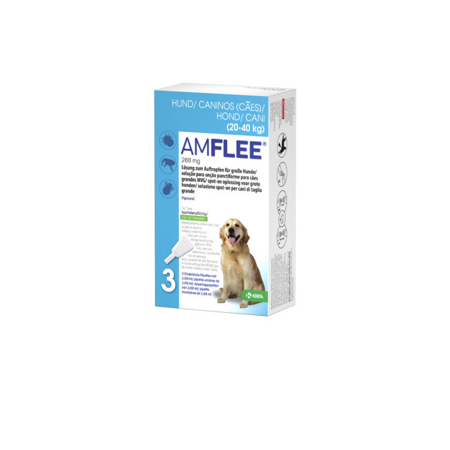 Spot On Hond L 20- 40kg
