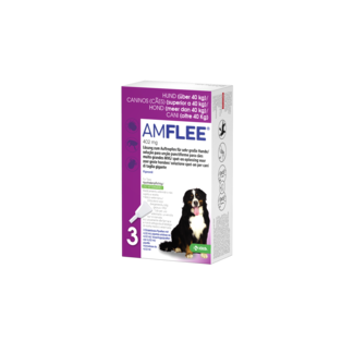 Amflee Amflee Spot on 402mg