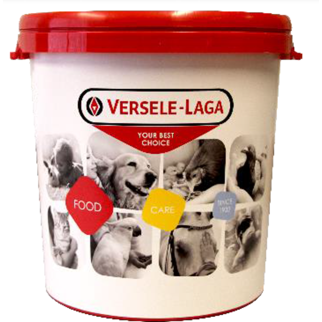 Feed barrel