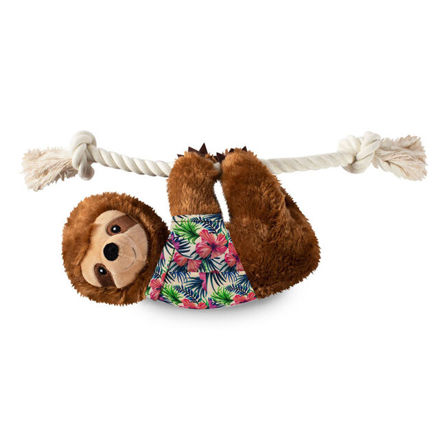 Hang around summersloth L