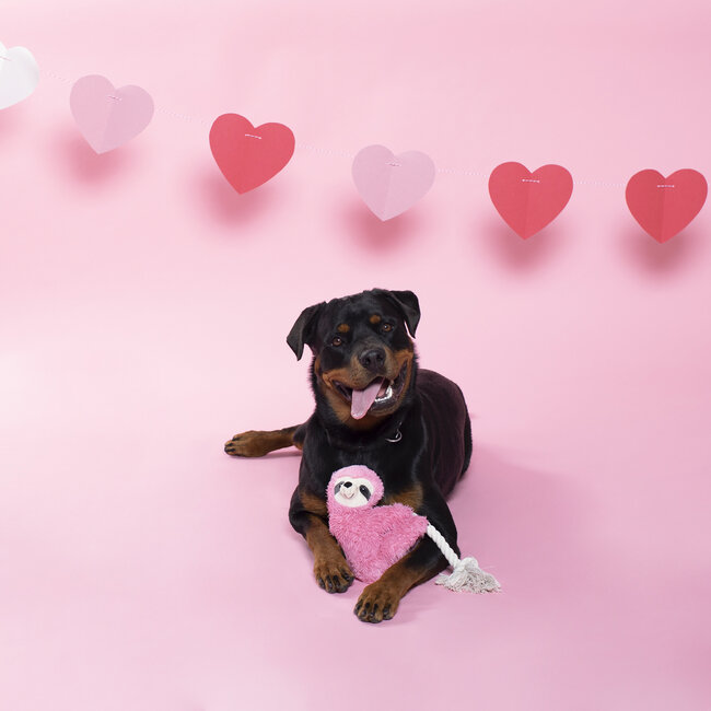 Pink sloth on a rope