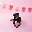 Pink sloth on a rope