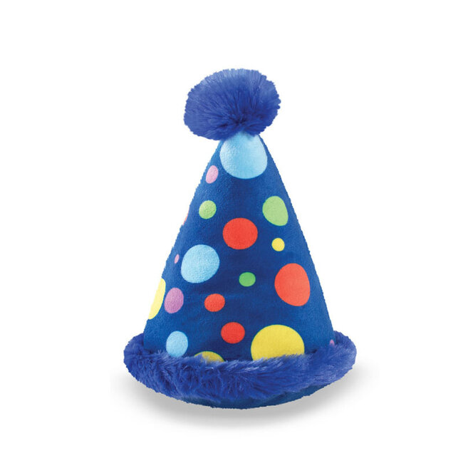 Party hat