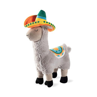 Fringe studio Llama partytime