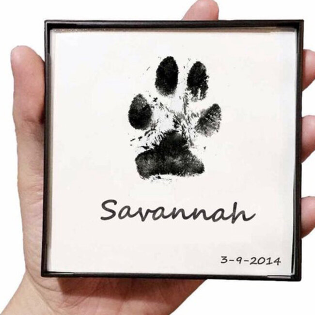 Print Pad 'Paws' S/M