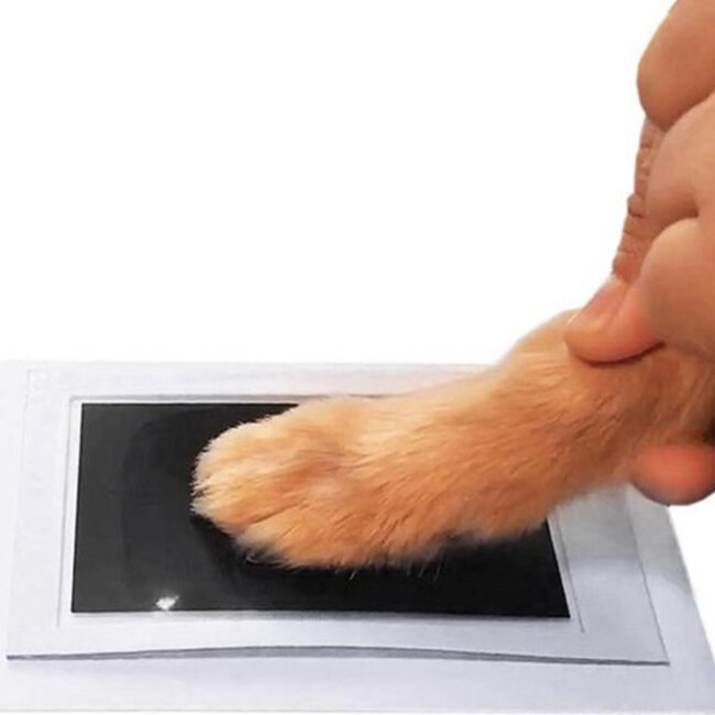 Print Pad 'Paws' S/M