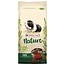 Cavia