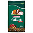 Original Cavia