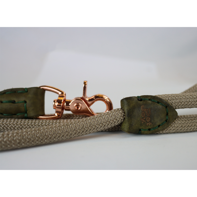 DoggyWalker Running line Tan Green