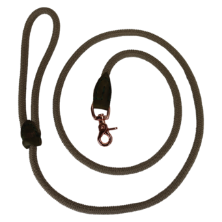 Pet-Joy DoggyWalker Running line Tan Green