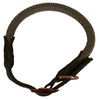 Pet-Joy DoggyWalker Collar Tan Green