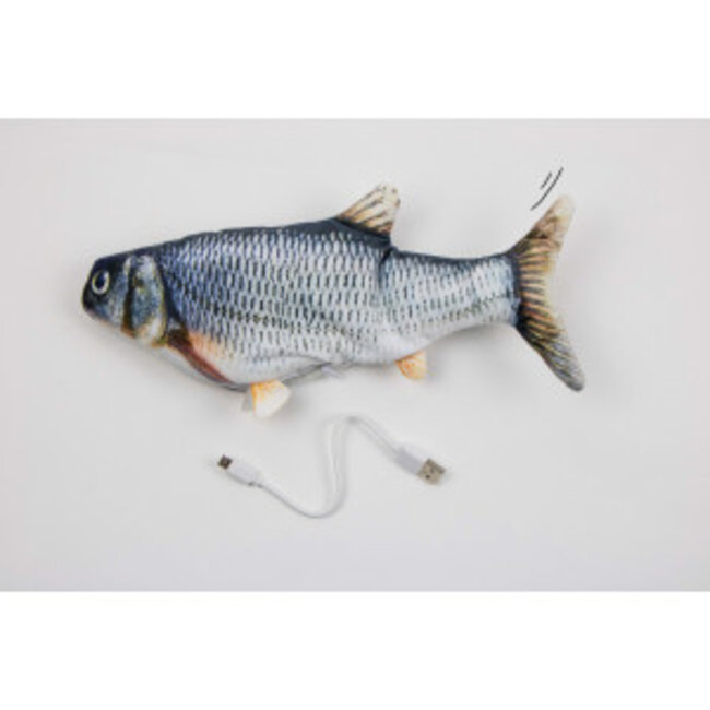 Dancing fish
