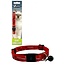 Adjustable cat collar 10 mm 20 - 30 cm Wild Forever