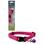 Adjustable cat collar 10 mm x 21 - 33 cm Sassy cat