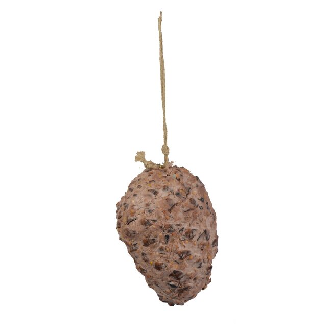 Dennenappel + Pindakaas 1st