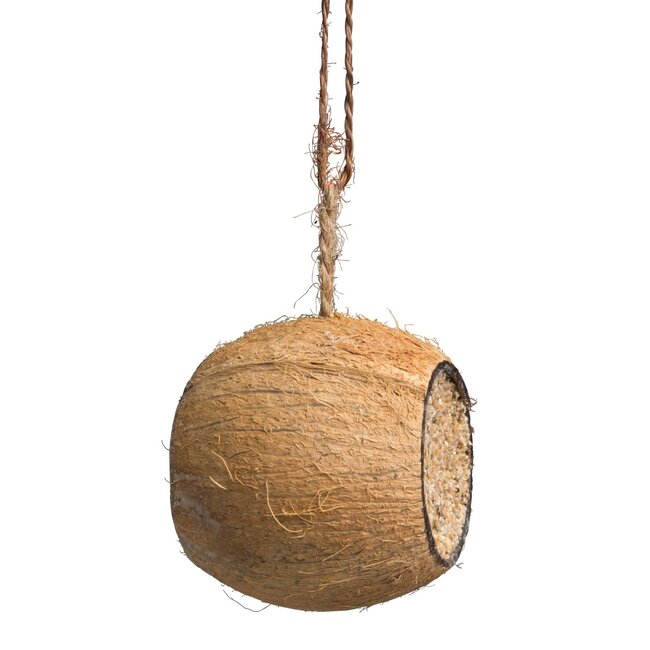Coconut Filled Drum 1st