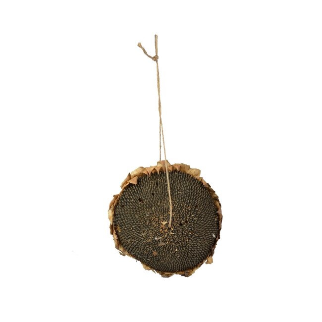 Sunflower head Black L 1pc