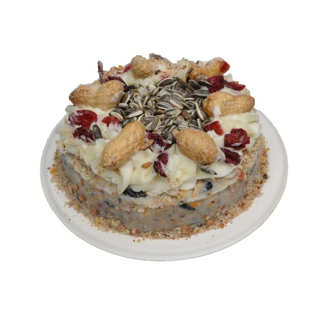 Whipped Cream Cake Cranberry 1st