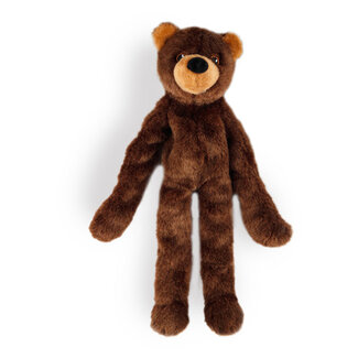 All for Paws Bear