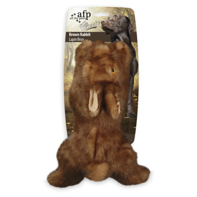 Rabbit