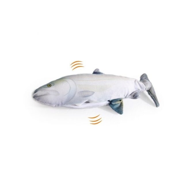 Fish Sardine