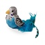 Bouncing Bird