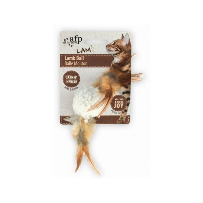 Lammetjesbal (met geluidschip)